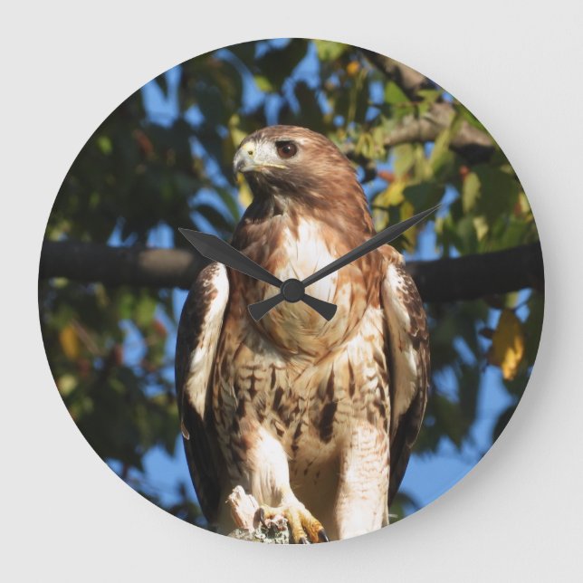 Red Tails Hawk Stor Klocka (Framsida)