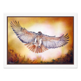 Red Tails Hawk Watercolor Painting Fototryck
