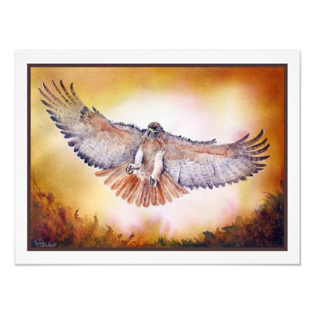 Red Tails Hawk Watercolor Painting Fototryck (Framsidan)