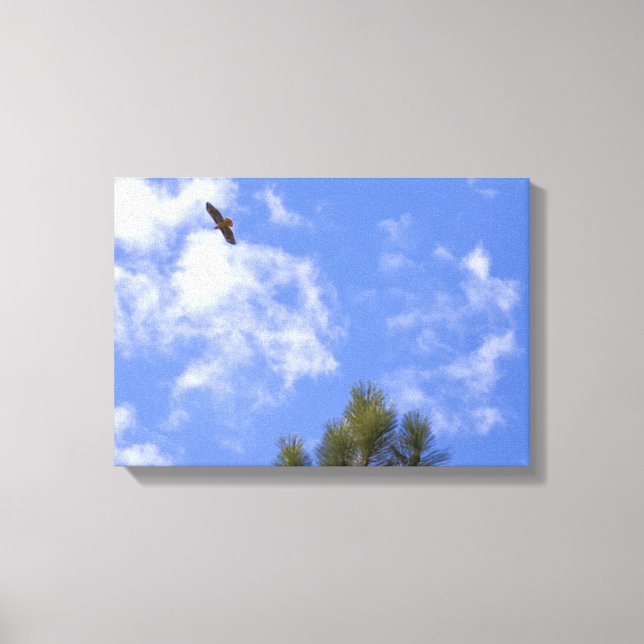 Red Tails Hawk Wrapped Canvas (Framsida)
