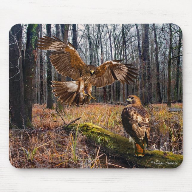 "Red-Tails Hawks" Musmatta (Framsidan)