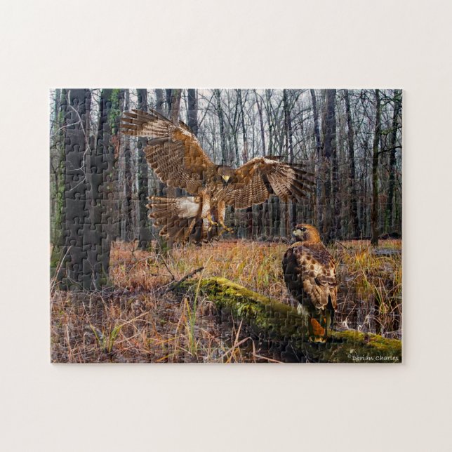 "Red-Tails Hawks" Puzzle Pussel (Horisontell)