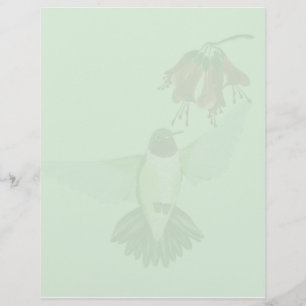 Red Throated Hummingbird2 letterhead_lodrät