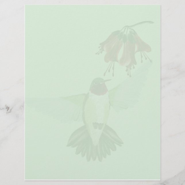 Red Throated Hummingbird2 letterhead_lodrät (Framsida)