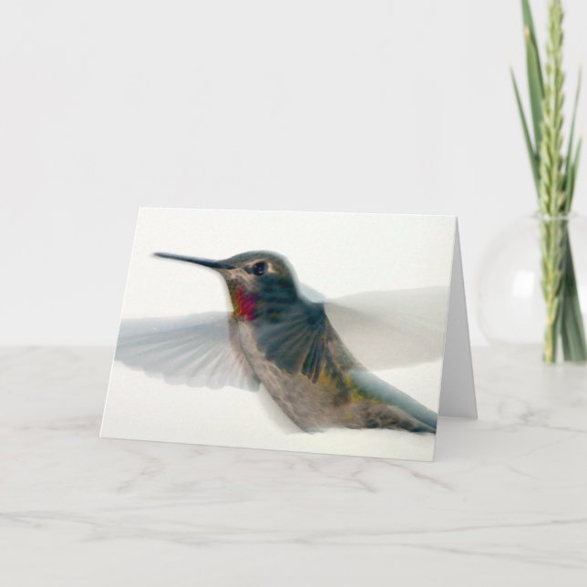 Red-Throated Hummingbird Kort (Framsida)