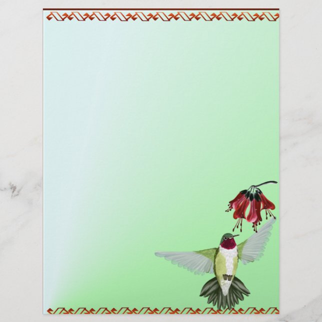 Red Throated Hummingbird letterhead_lodrät (Framsida)