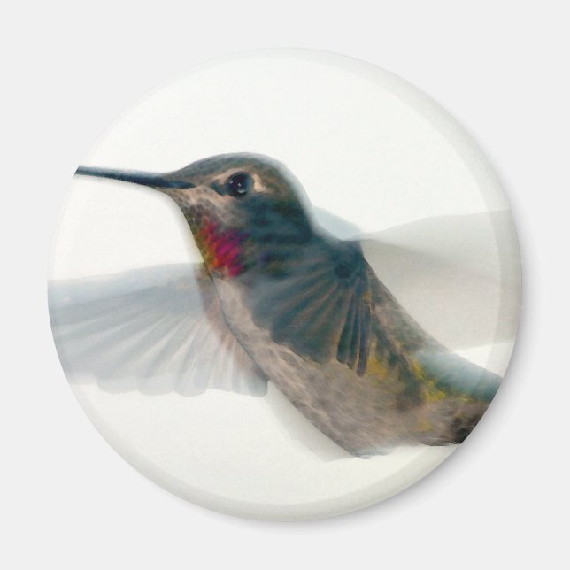 Red-Throated Hummingbird Magnet (Framsidan)