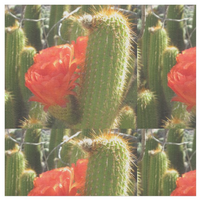 Red Torch Cactus Tyg (Närbild)