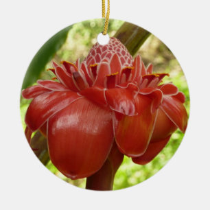 Red Torch Ginger Tropical Blomsterfotografi Julgransprydnad Keramik