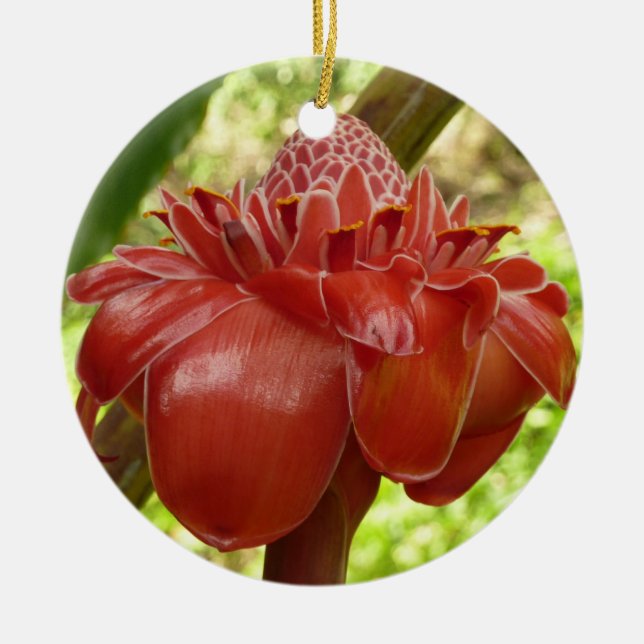 Red Torch Ginger Tropical Blomsterfotografi Julgransprydnad Keramik (Framsidan)