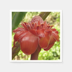 Red Torch Ginger Tropical Blomsterfotografi Pappersservett