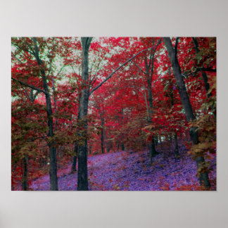 Red Träd Forest Poster