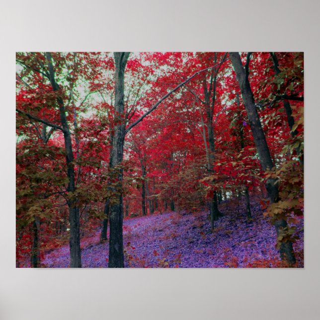 Red Träd Forest Poster (Framsidan)
