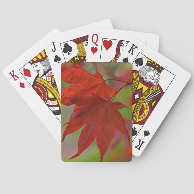 Red Träd Löv Casinokort (Baksidan)