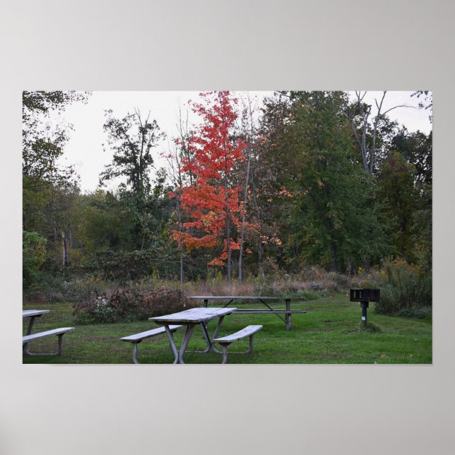 Red Träd med Benches Poster (Framsidan)