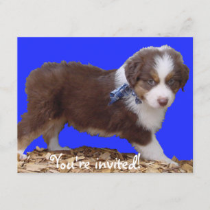 Red Tri Aussie Puppy Inbjudningar