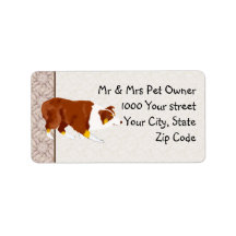 Red Tri Australian Stockdog Anpassningsbar Address
