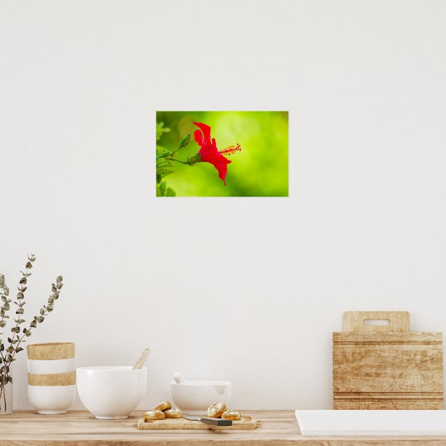 🌺 Red Tropical Kiss 💋 Poster (Kök)