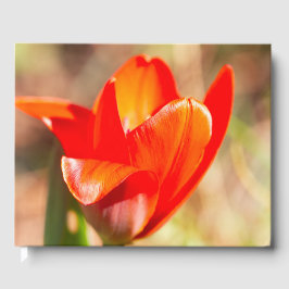 Red Tulip Blommar Gästböcker