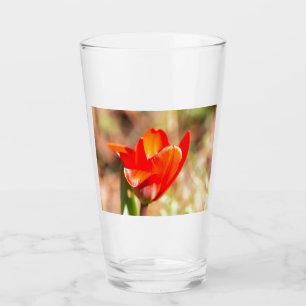 Red Tulip Blommar Glaskopp