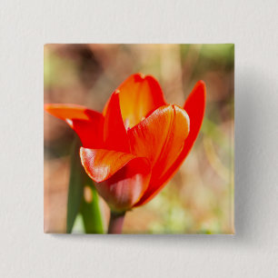 Red Tulip Blommar Knapp