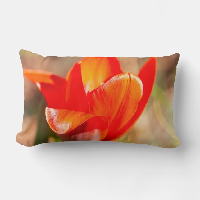 Red Tulip Blommar Lumbarkudde (Framsida)