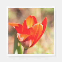 Red Tulip Blommar Pappersservett