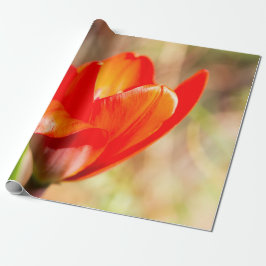 Red Tulip Blommar Presentpapper