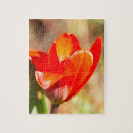Red Tulip Blommar Pussel
