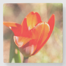 Red Tulip Blommar Stenunderlägg