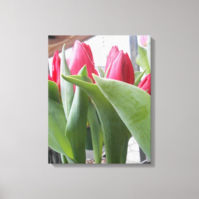 Red Tulip Canvastryck (Framsida)