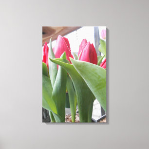 Red Tulip Canvastryck