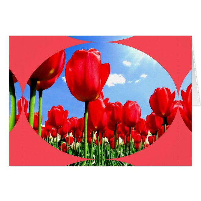 Red Tulip Delight Hälsningskort (Framsidan Horizontal)