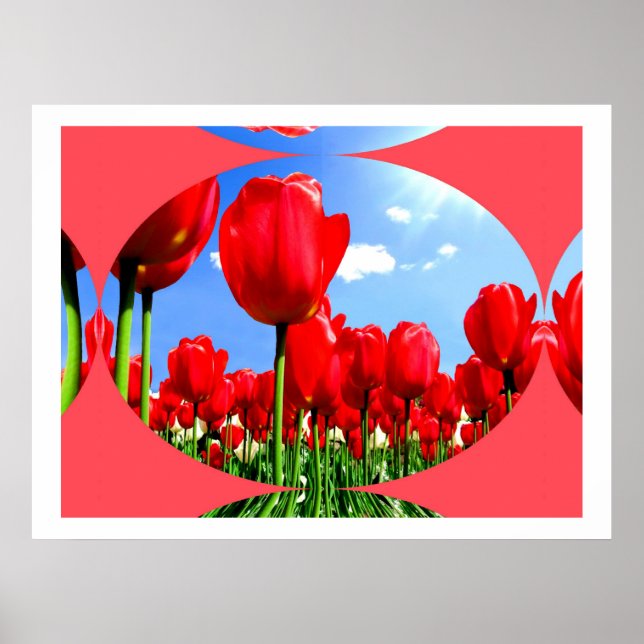 Red Tulip Delight Poster (Framsidan)