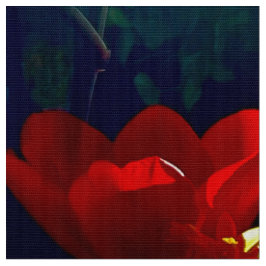Red Tulip Fabric Tyg