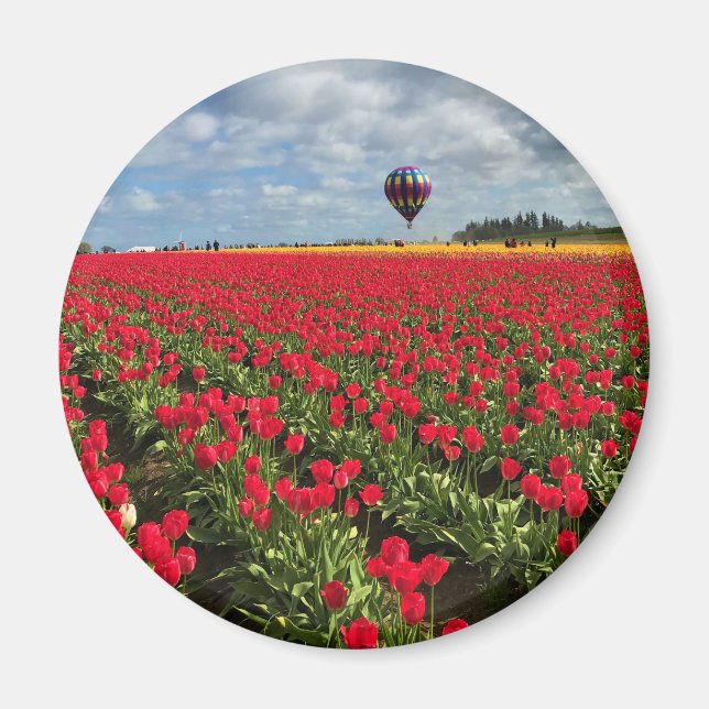 Red Tulip Fält med Luftballong Magnet (Framsidan)