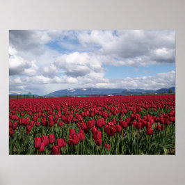 Red Tulip Fält Poster