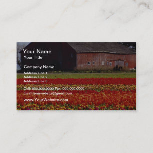 Red Tulip farm, Mt. Vernon, blommor från Washingt Visitkort