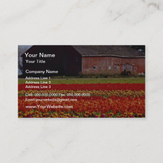 Red Tulip farm, Mt. Vernon, blommor från Washingto Visitkort