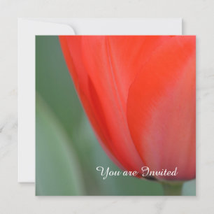 Red Tulip Flower Birthday Inbjudningar