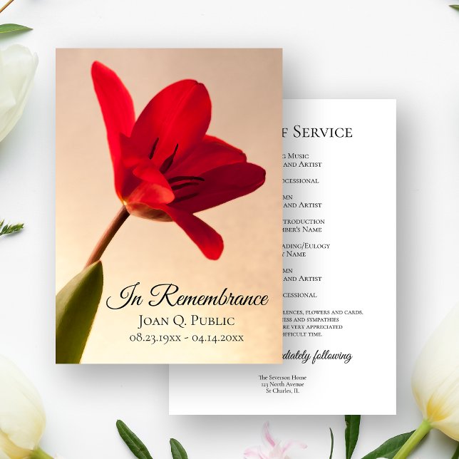 Red Tulip Flower Vår Funeral Memorial Service Program (Skapare uppladdad)