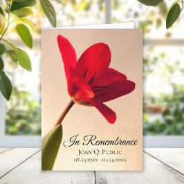 Red Tulip Flower Vår Funeral Service Foled Program