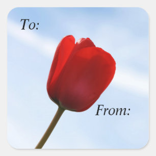 Red Tulip Gift Märkre Sticker Fyrkantigt Klistermärke