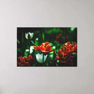 Red Tulip - Hans Majestät Kung Canvastryck