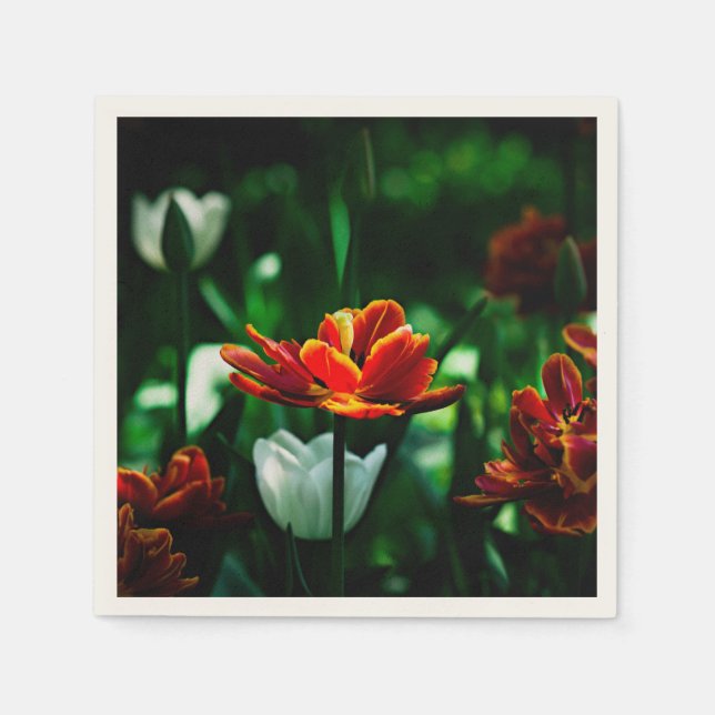 Red Tulip - Hans Majestät Kung Pappersservett (Framsidan)