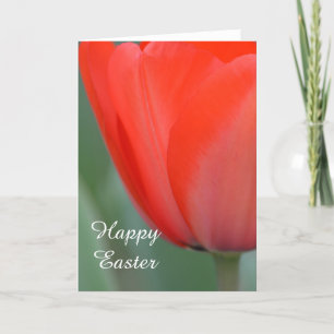 Red Tulip Helgkort