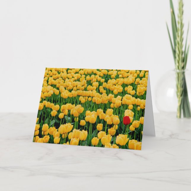 Red Tulip i Gult Tulip Fält Kort (Framsida)