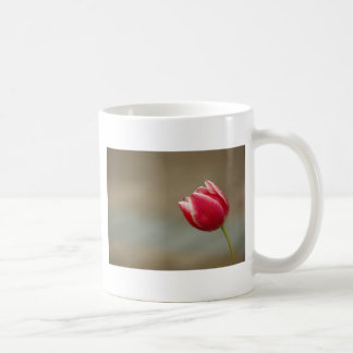 Red tulip mugg