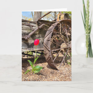 Red Tulip och Old Wagon Birthday Kort