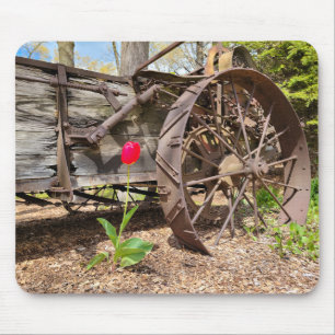 Red Tulip och Old Wagon Musmatta
